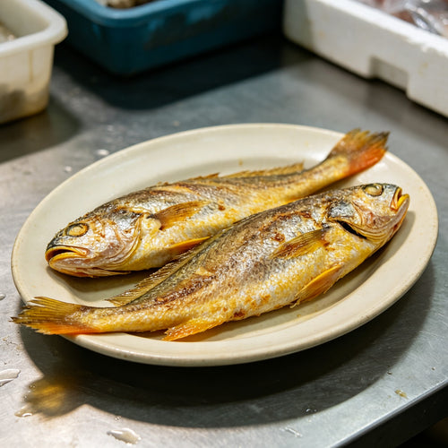 Fresh Golden Yellow Croaker Fish 2