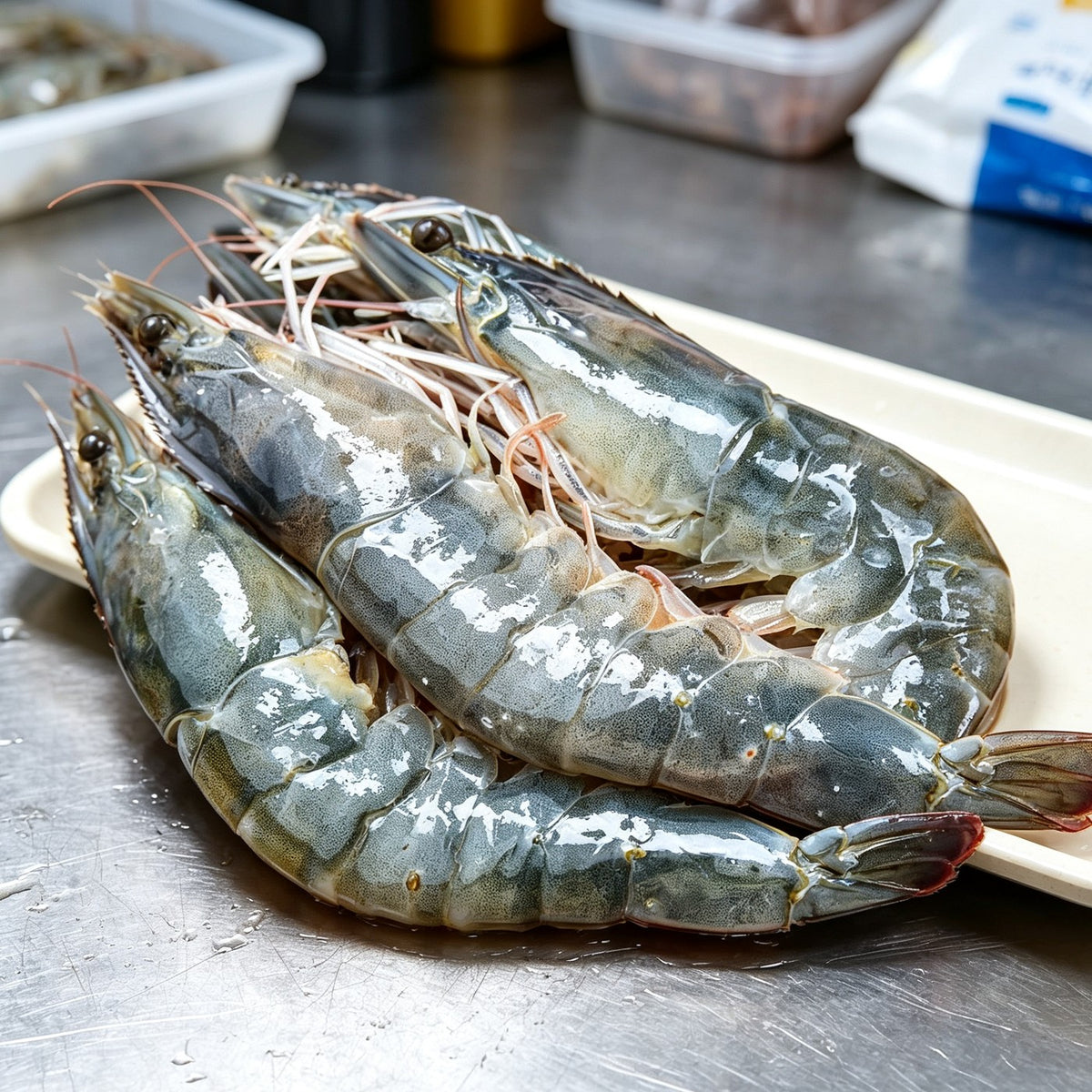 Fresh Whole Grey Prawns 2