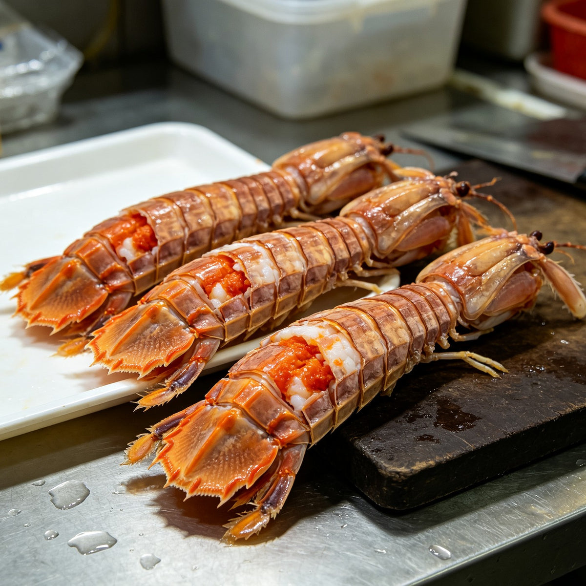 Fresh Mantis Shrimp, Ready to Cook 3
